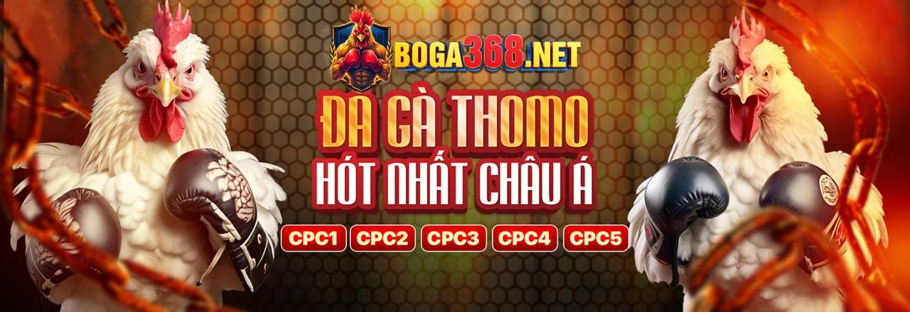 Đá gà trực tuyến kịch tính tại hb888 đăng nhập