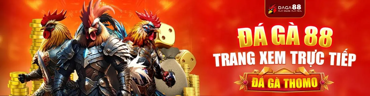 Hoàn trả hàng tuần cho đá gà