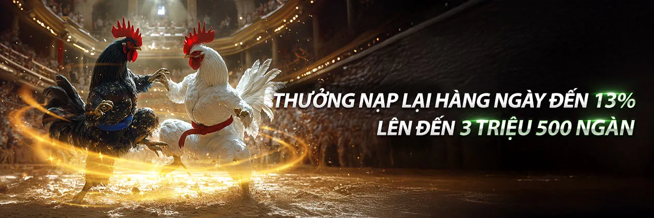 Ứng dụng hb888 trên điện thoại di động
